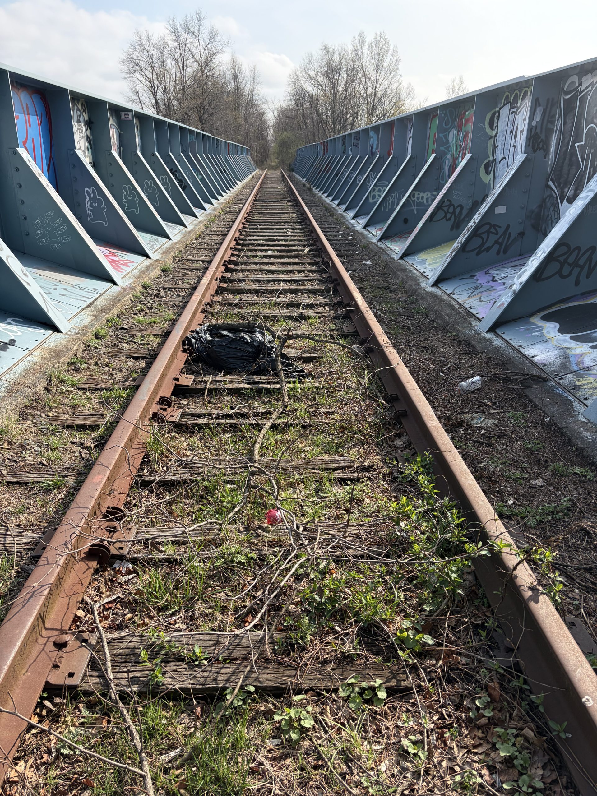 Abandoned Train Tracks
