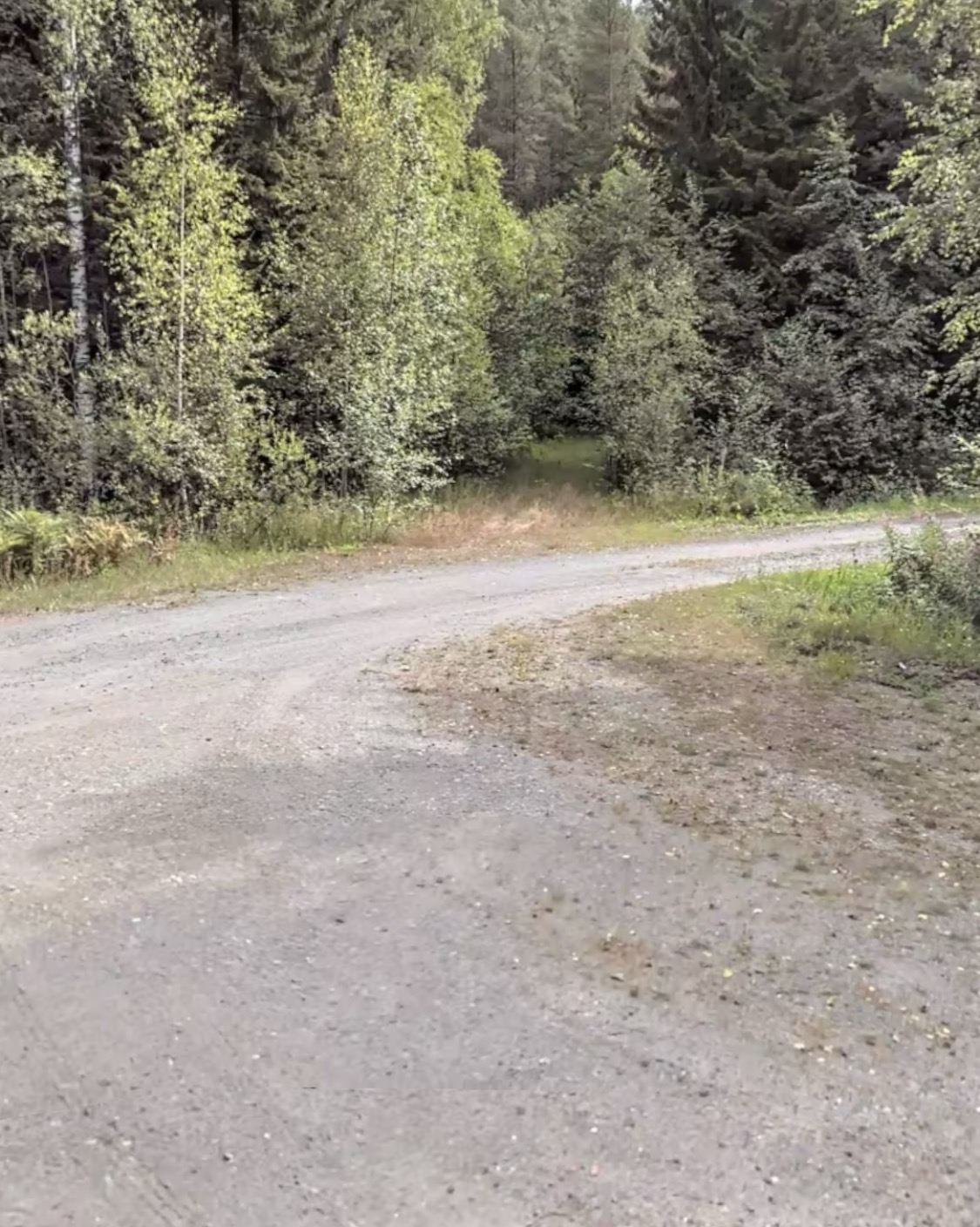 Vanha väestösuoja