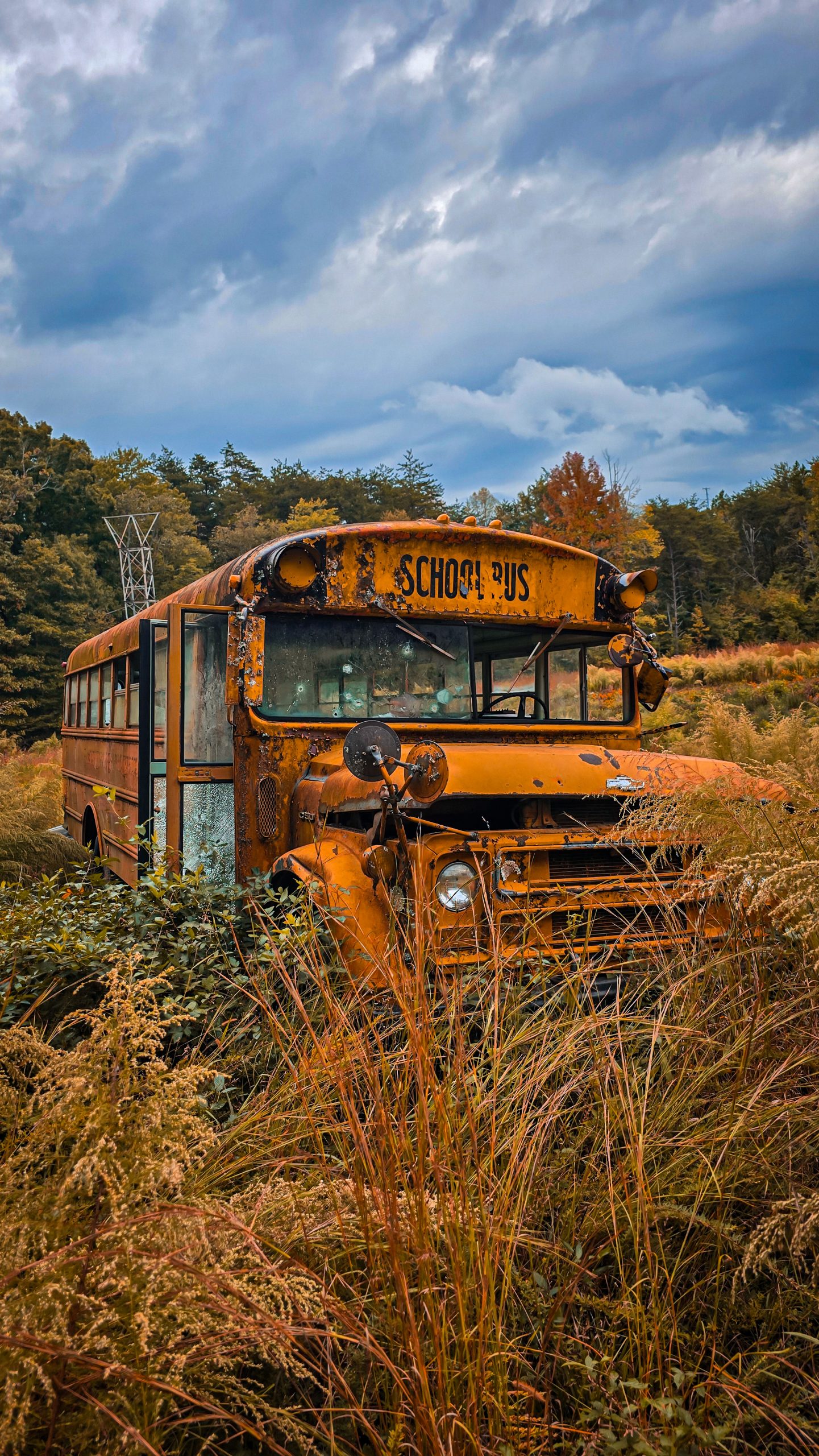 Abandoned School Bus