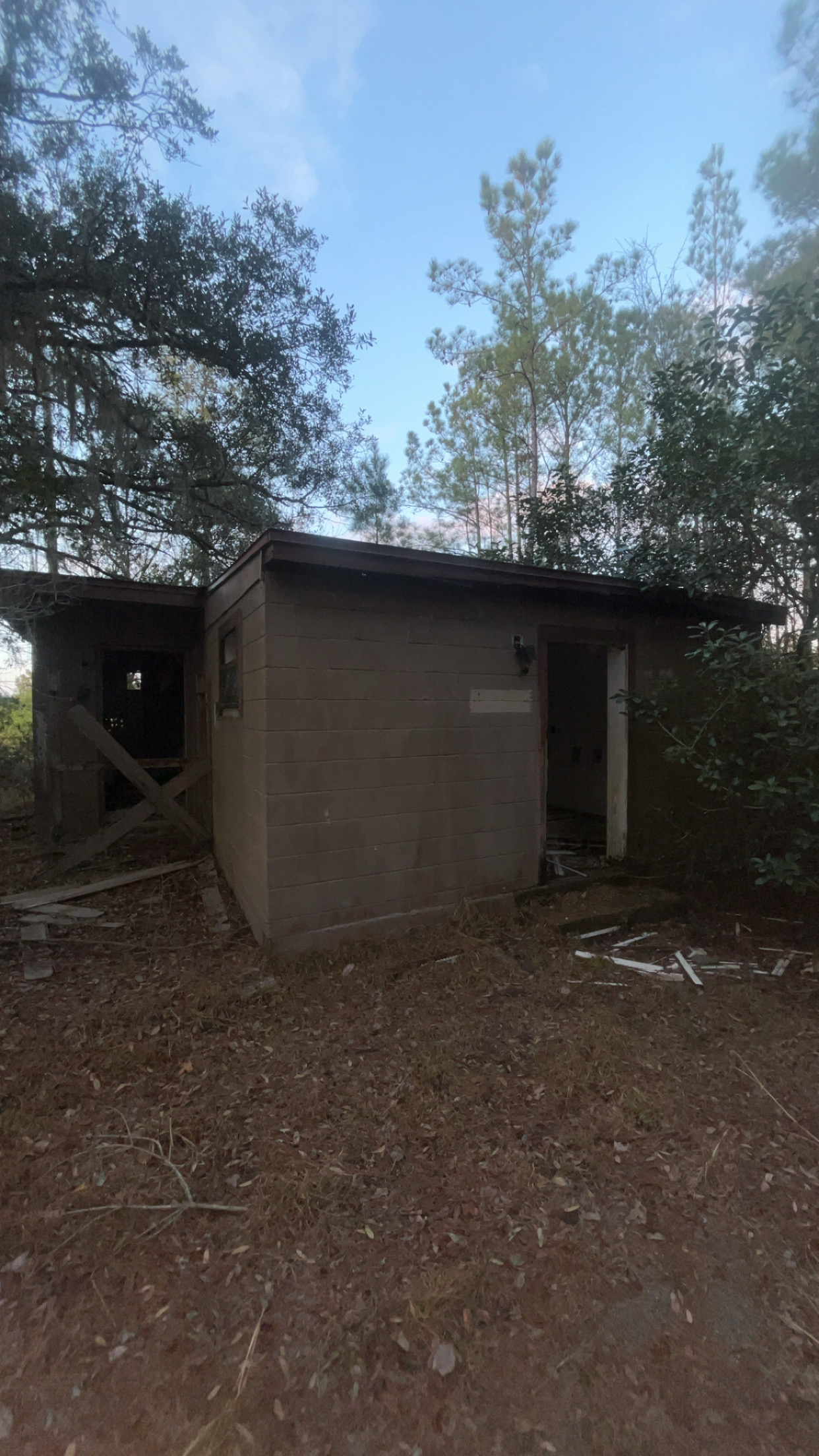 Abandoned Koa Kampsite