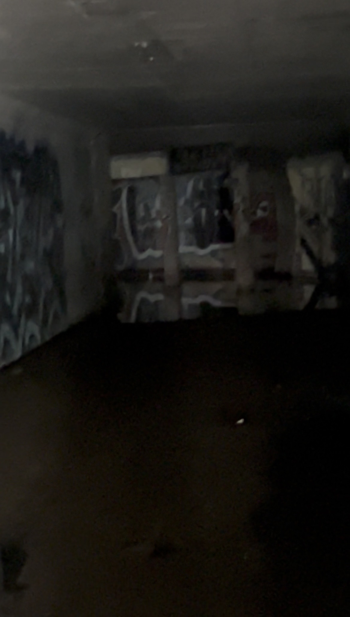 Abandoned drainage tunnel with rooms
