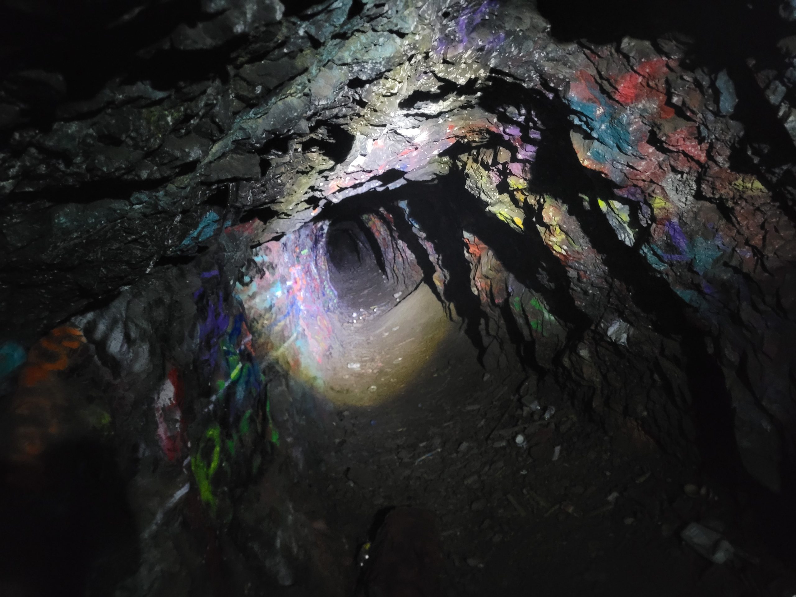 Ted bundy cave