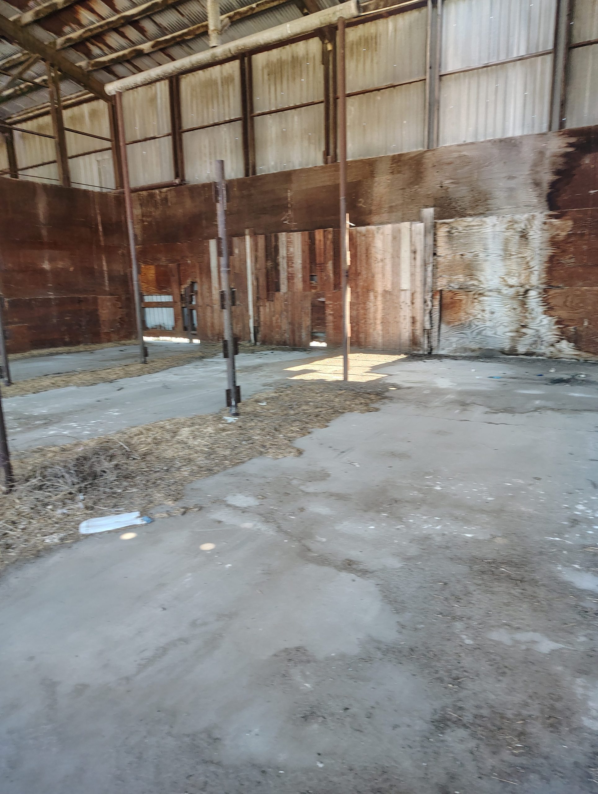 Abandoned farm