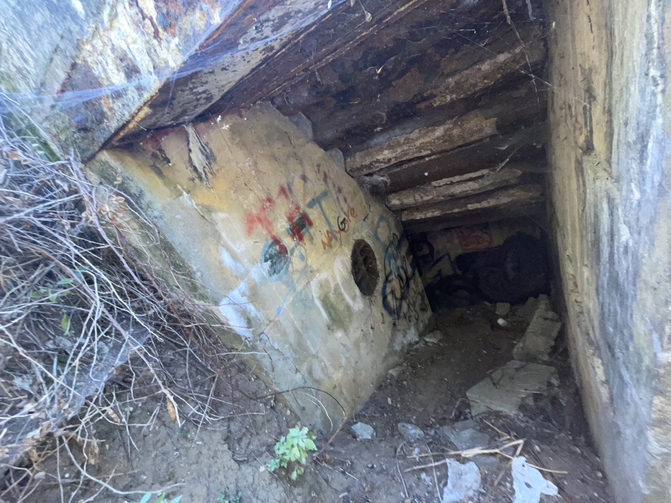 Bunker