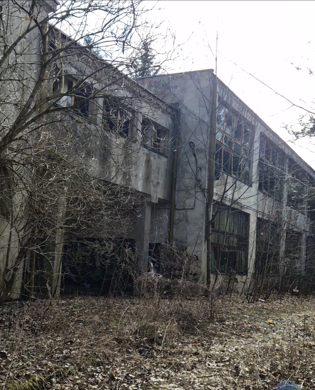 Abandoned factory "fabryka waty hidroskopijnej"