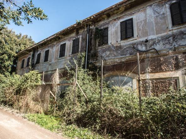 abandoned houses
