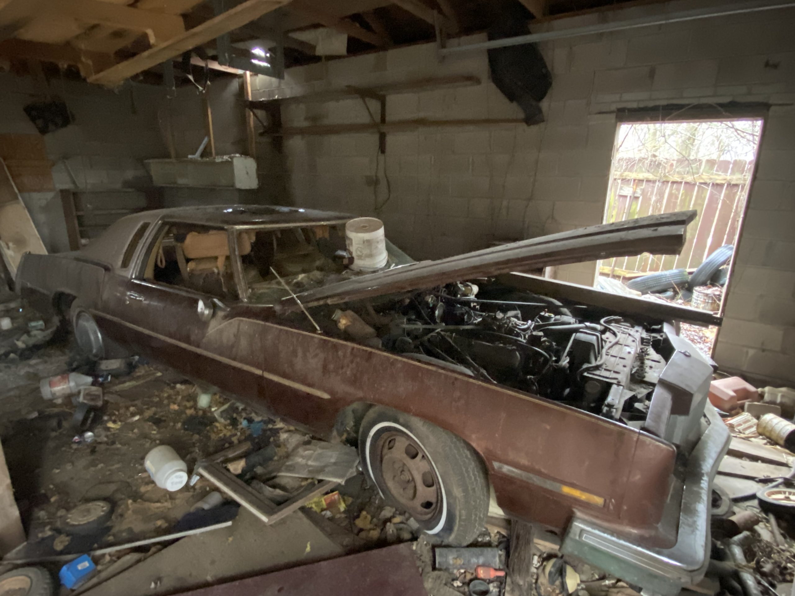 Abandoned Trailer Park