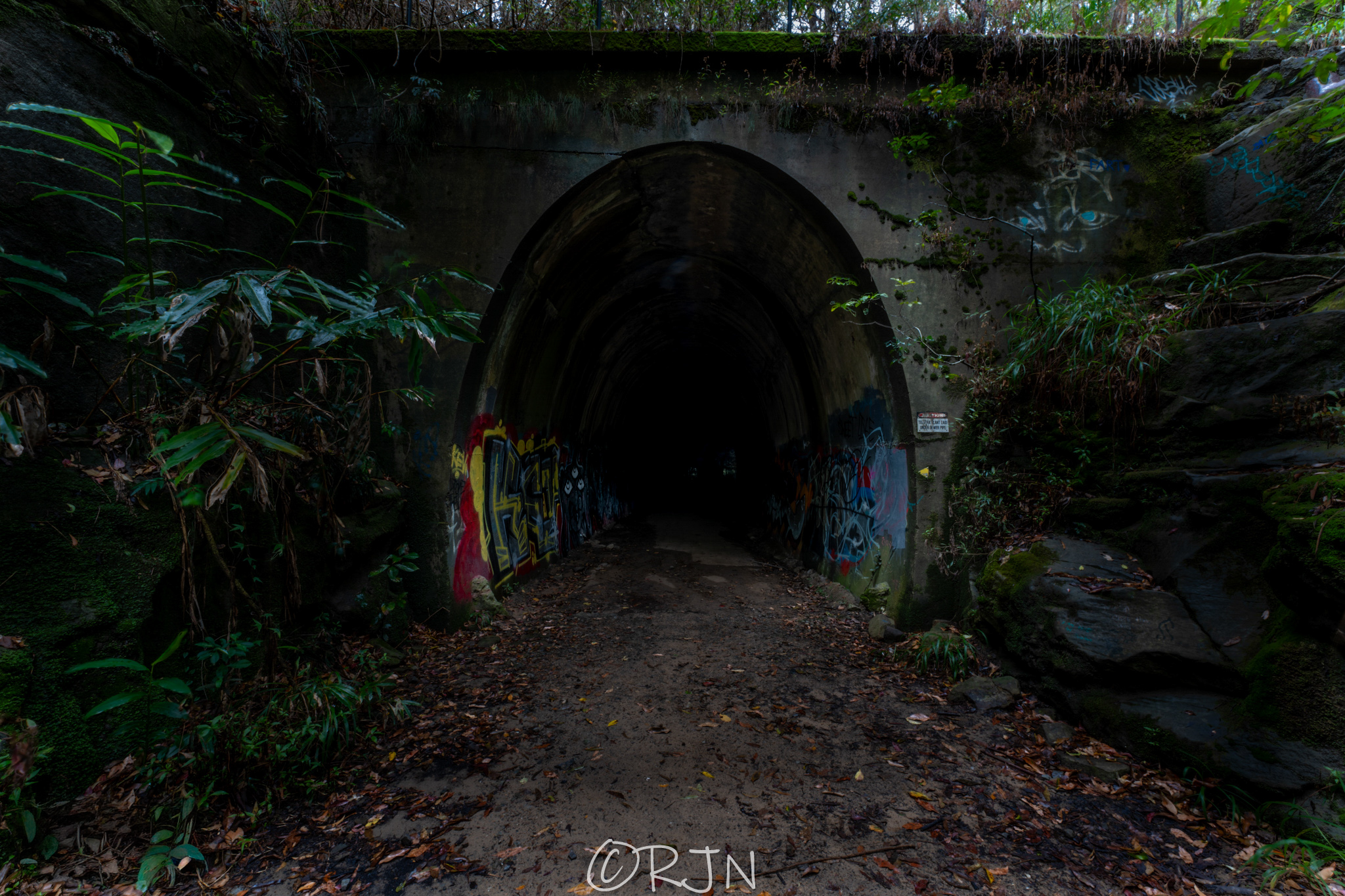 Old tunnel (there are bats in the middle of the tunnel)