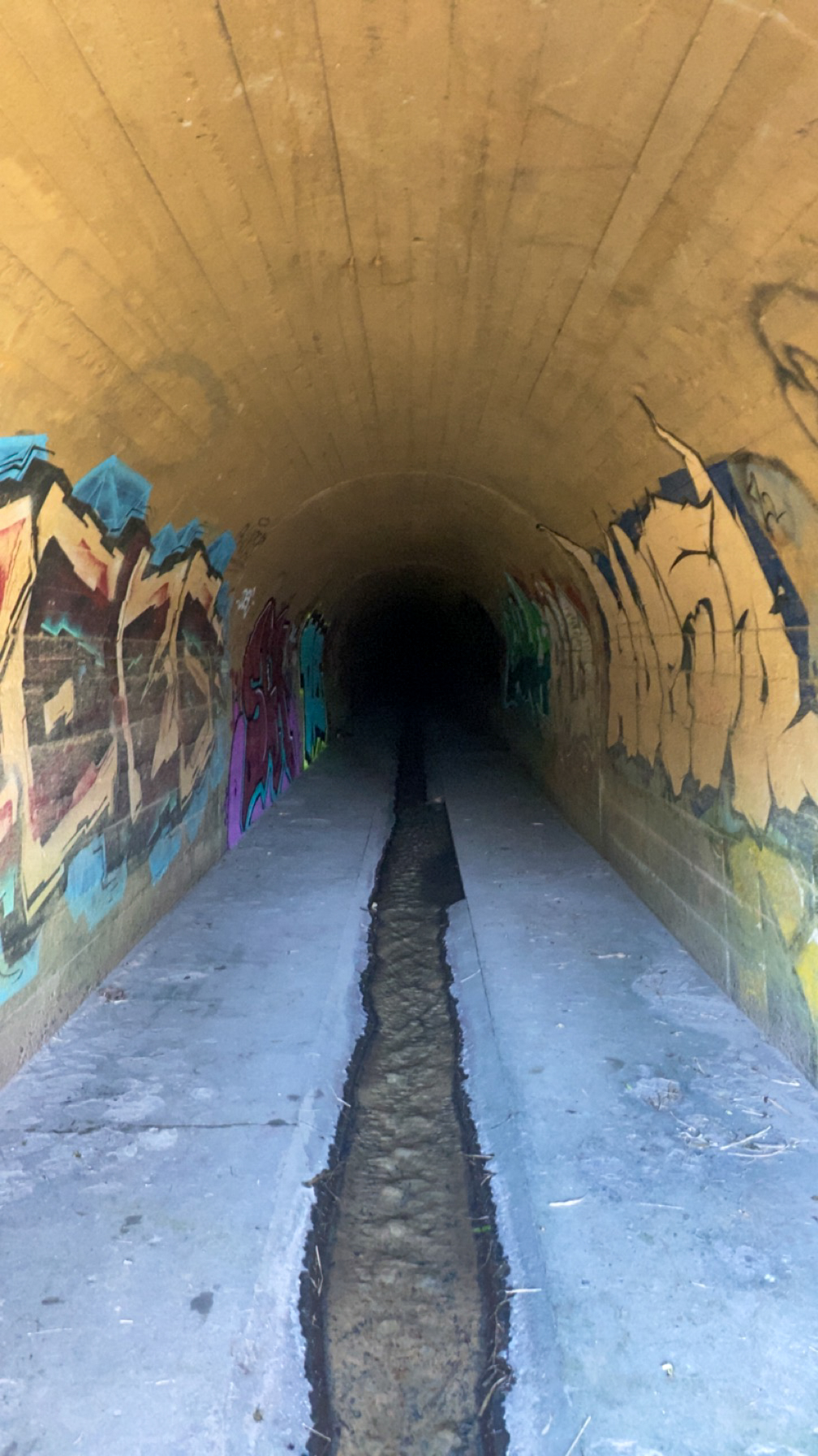Tunnel goes under town