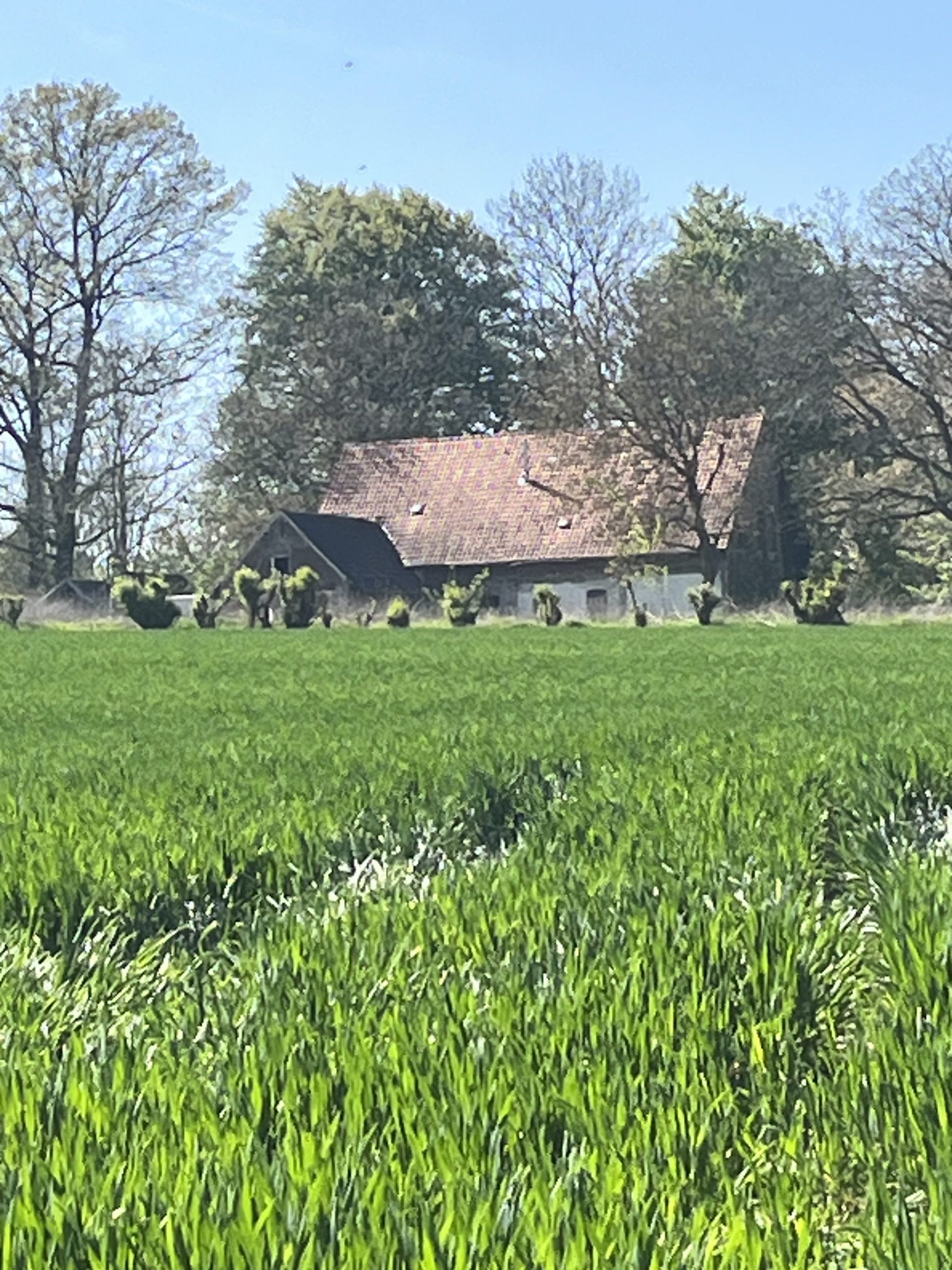 Bauernhaus