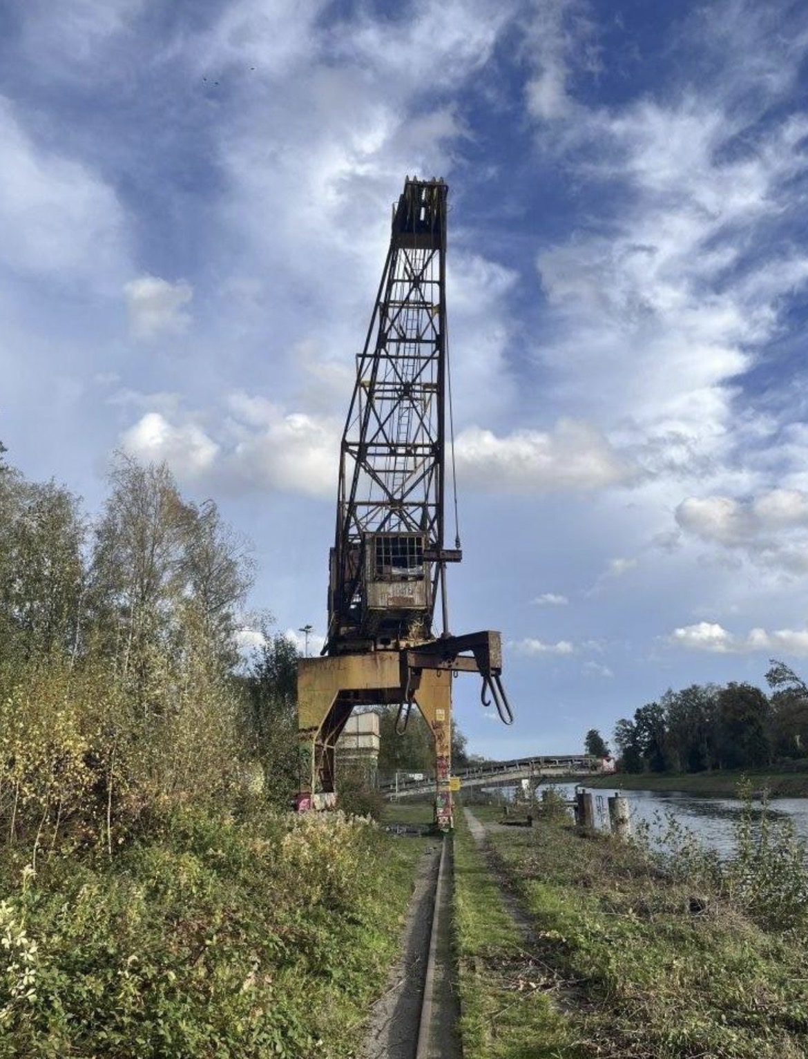 Crane