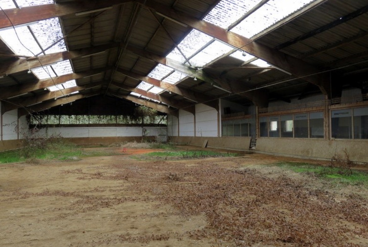 Horse riding Building