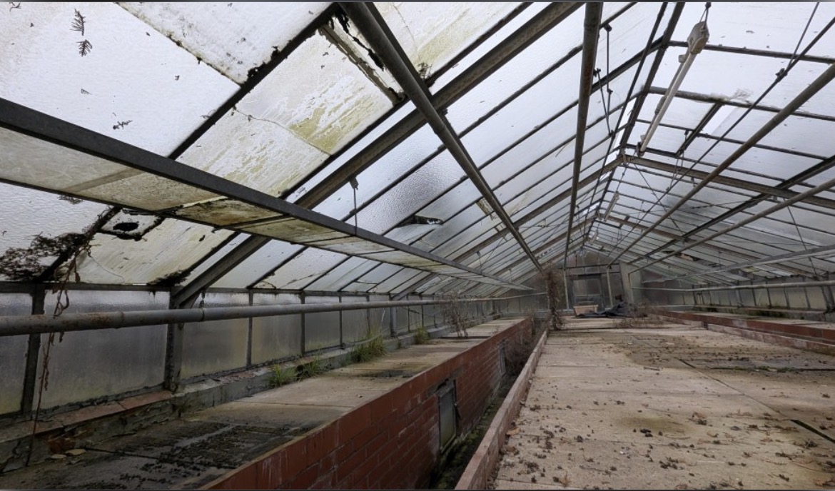Glass house