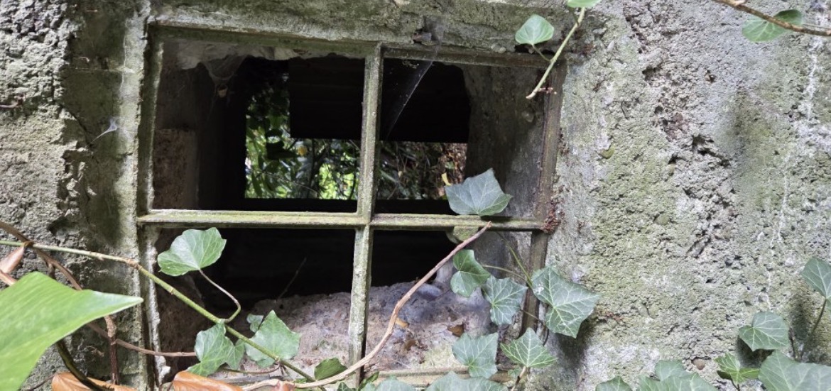 Bunker