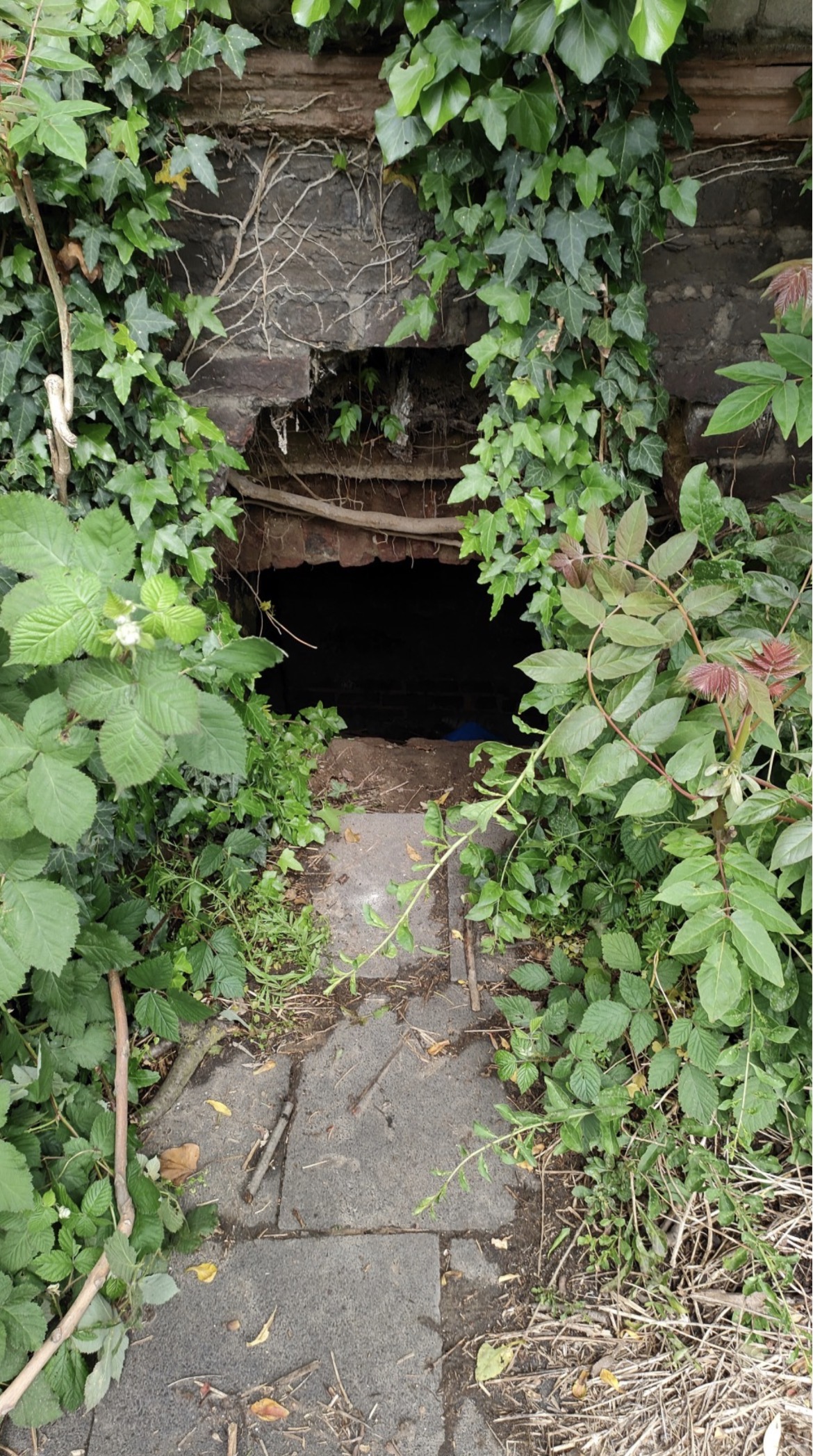 Bunker