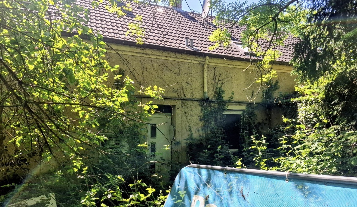 Haus