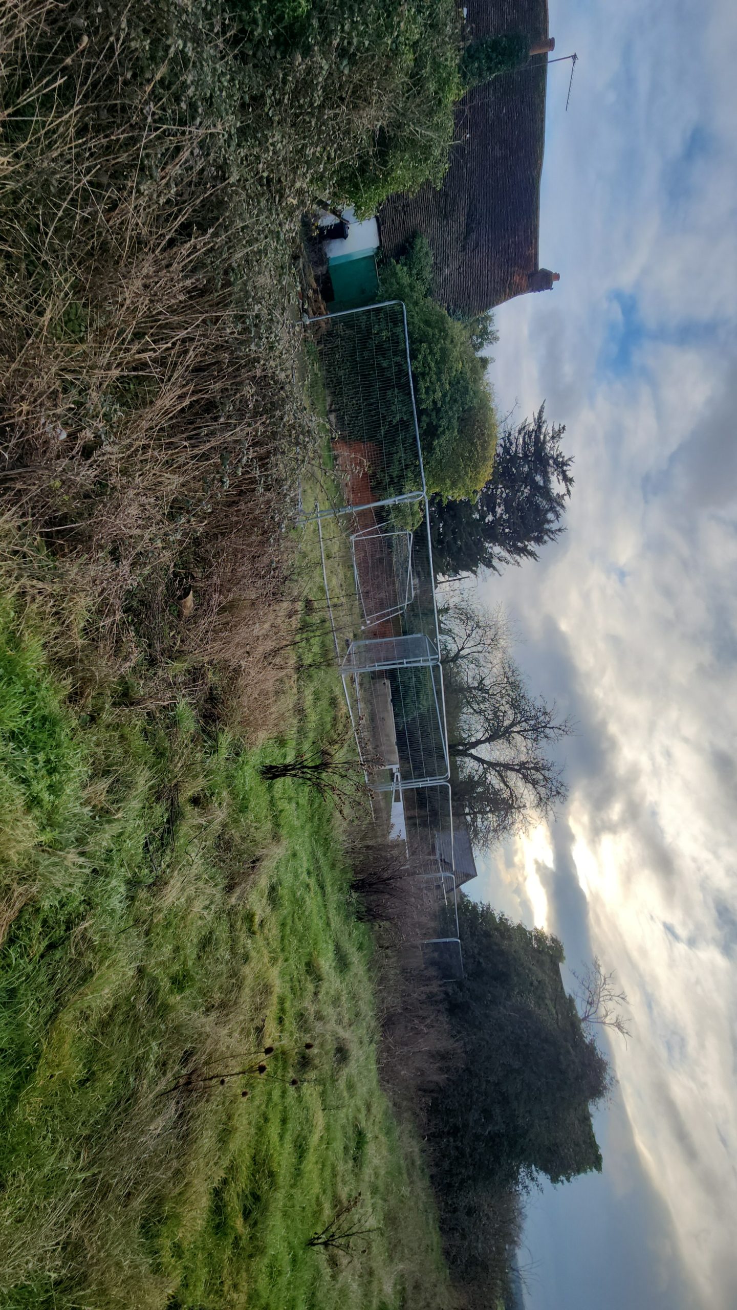 Abandoned farm