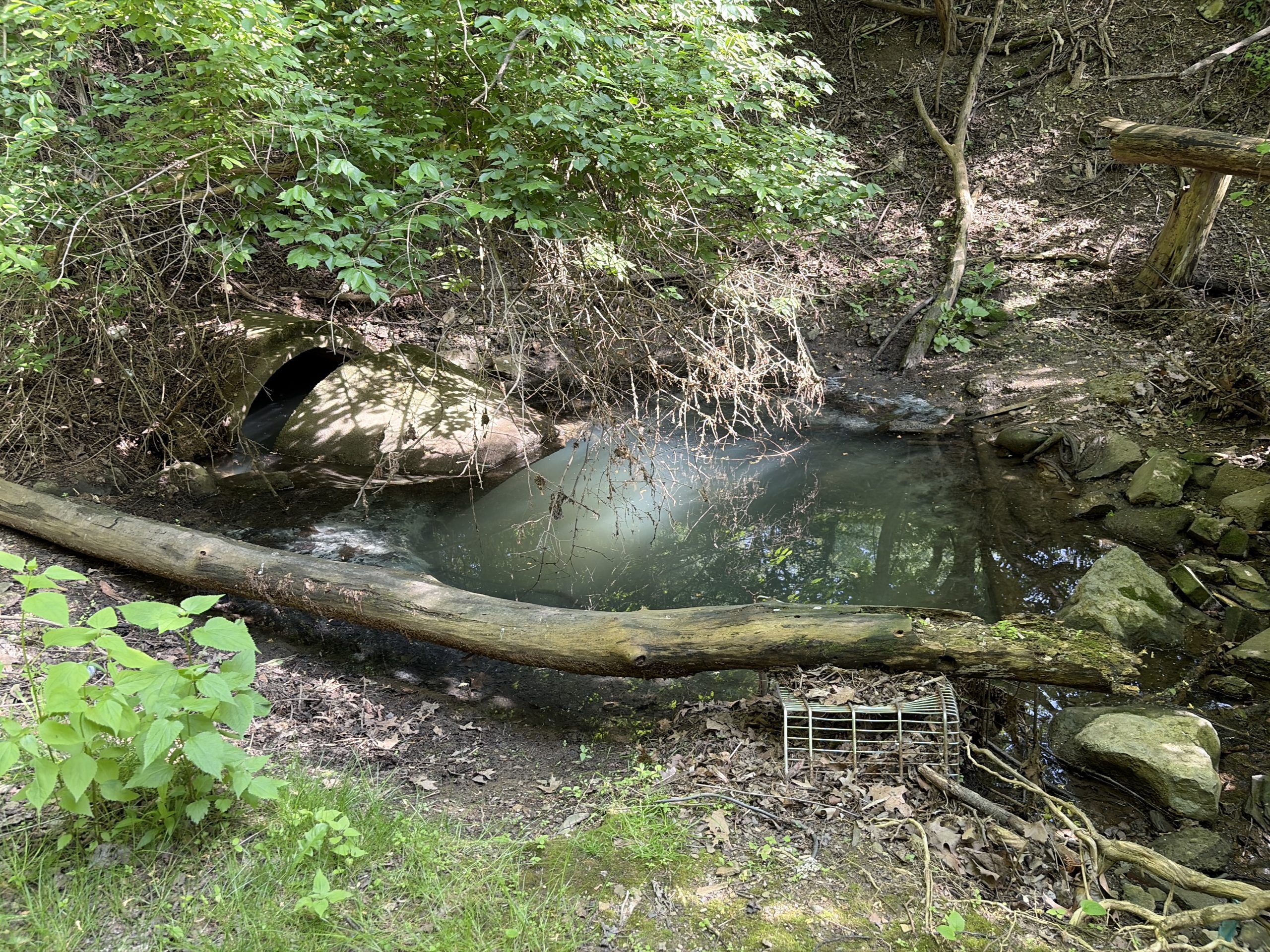 Weird pond with cage
