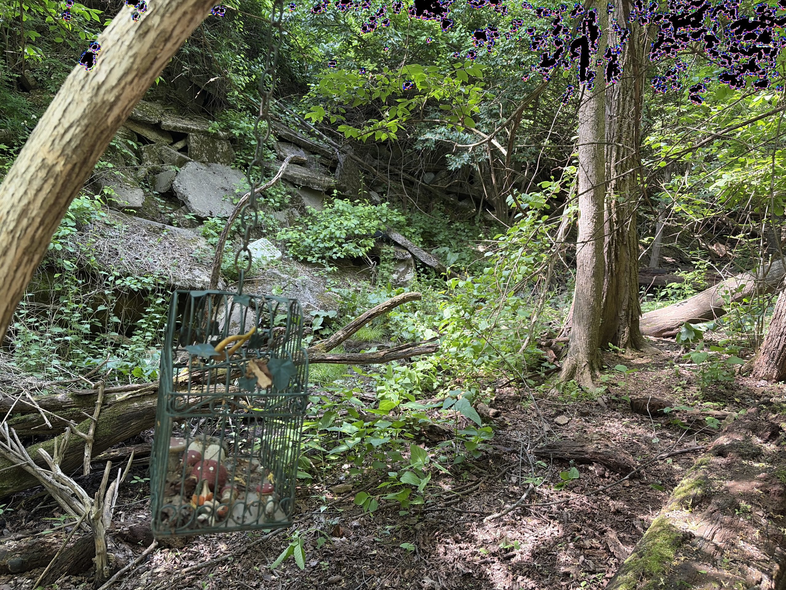 Stream with Concrete Debris (Fairy Wall)