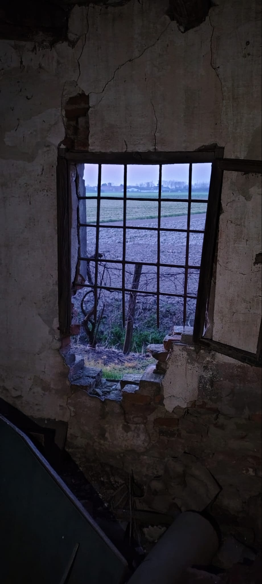 Casa abbandonata con vigneto.